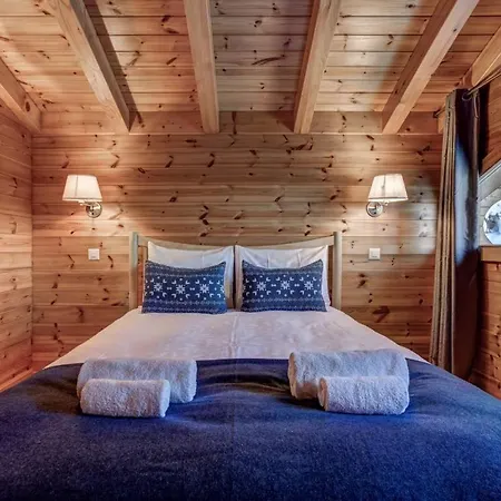 Newly Renovated Chalet Up To 12 Guests With Jacuzzi & Sauna
